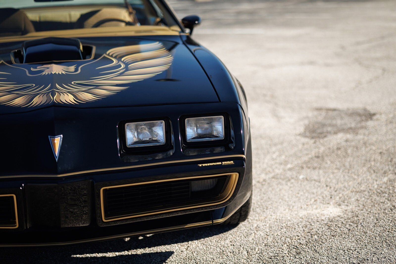 Pontiac-Firebird-1980-2D-Coupe-25