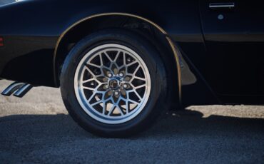 Pontiac-Firebird-1980-2D-Coupe-29