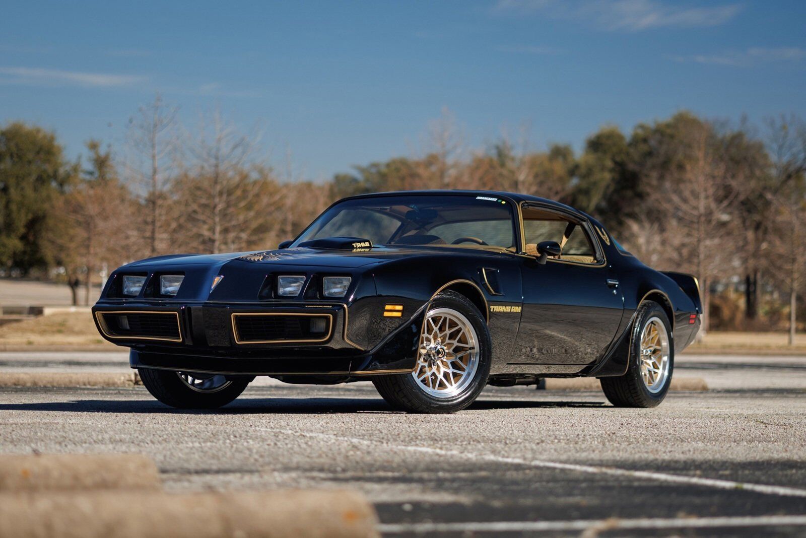 Pontiac-Firebird-1980-2D-Coupe-3
