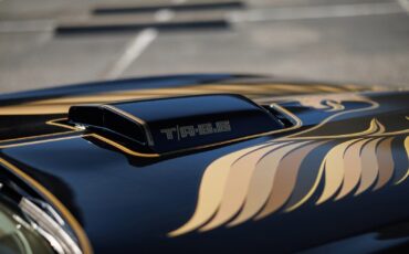 Pontiac-Firebird-1980-2D-Coupe-30