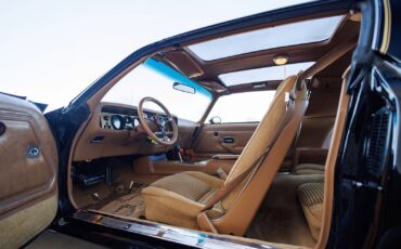 Pontiac-Firebird-1980-2D-Coupe-34