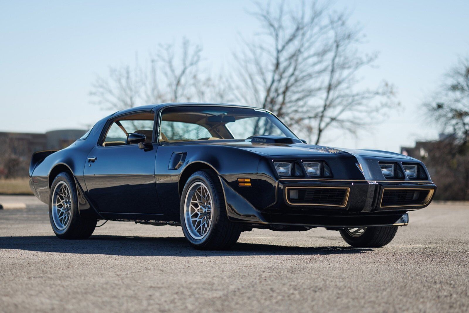 Pontiac-Firebird-1980-2D-Coupe-4