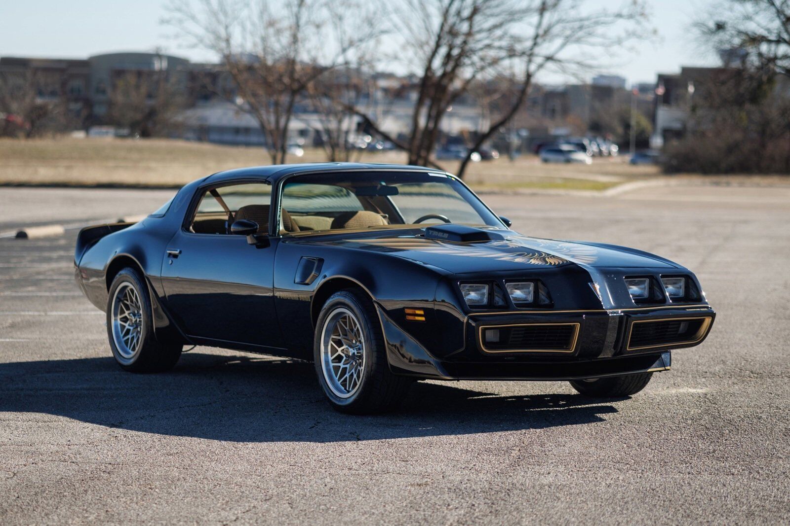 Pontiac-Firebird-1980-2D-Coupe-5