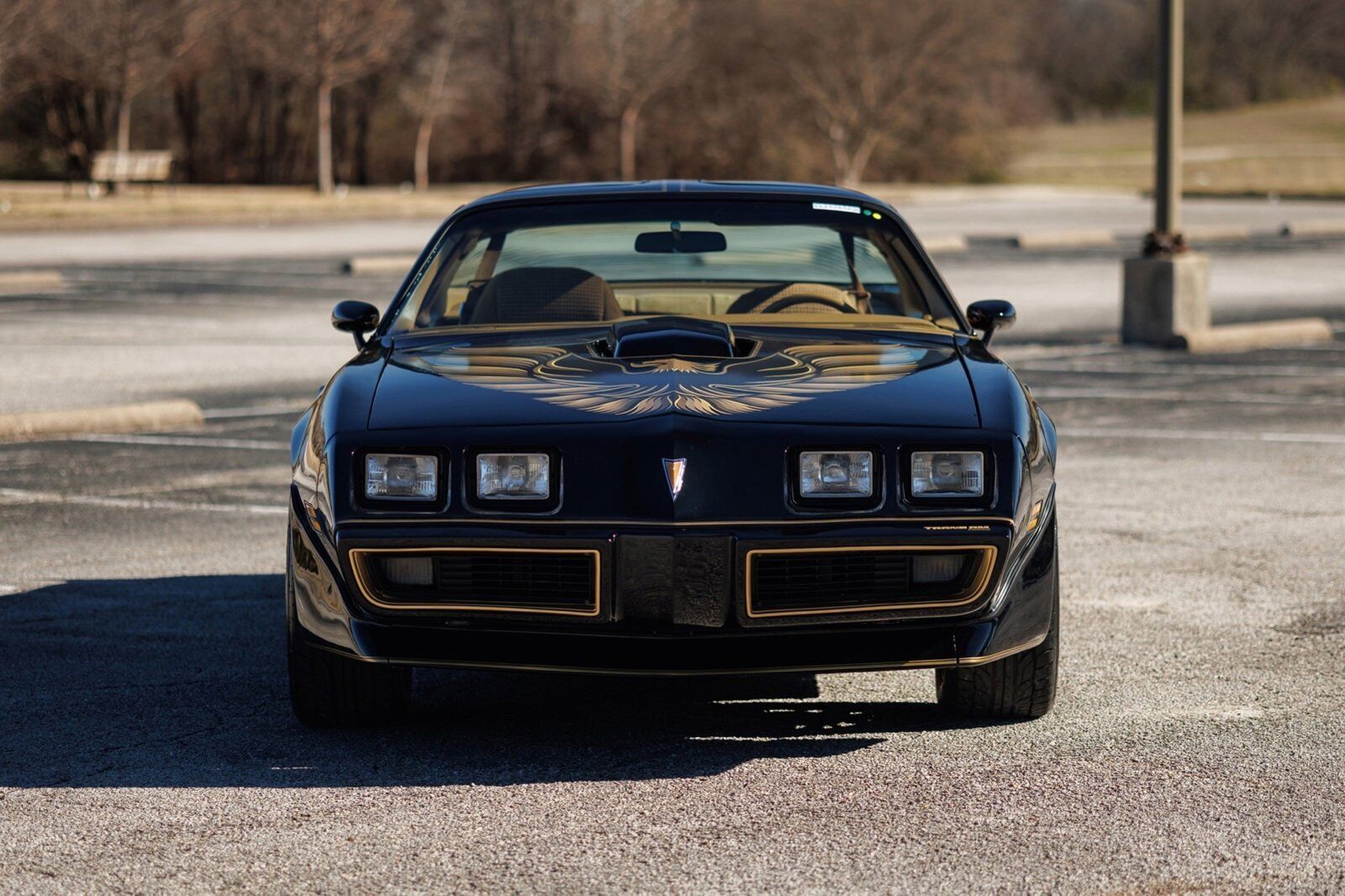 Pontiac-Firebird-1980-2D-Coupe-6