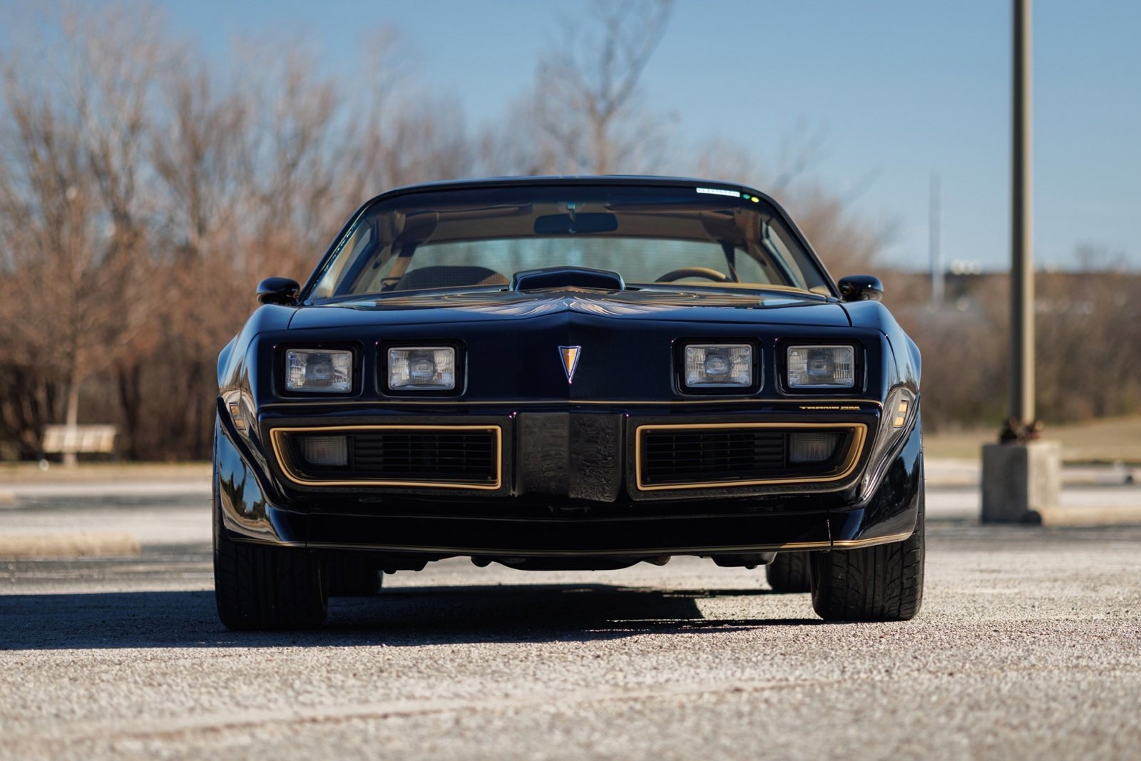Pontiac-Firebird-1980-2D-Coupe-7