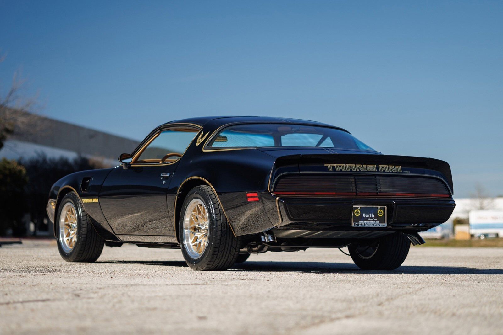 Pontiac-Firebird-1980-2D-Coupe-8
