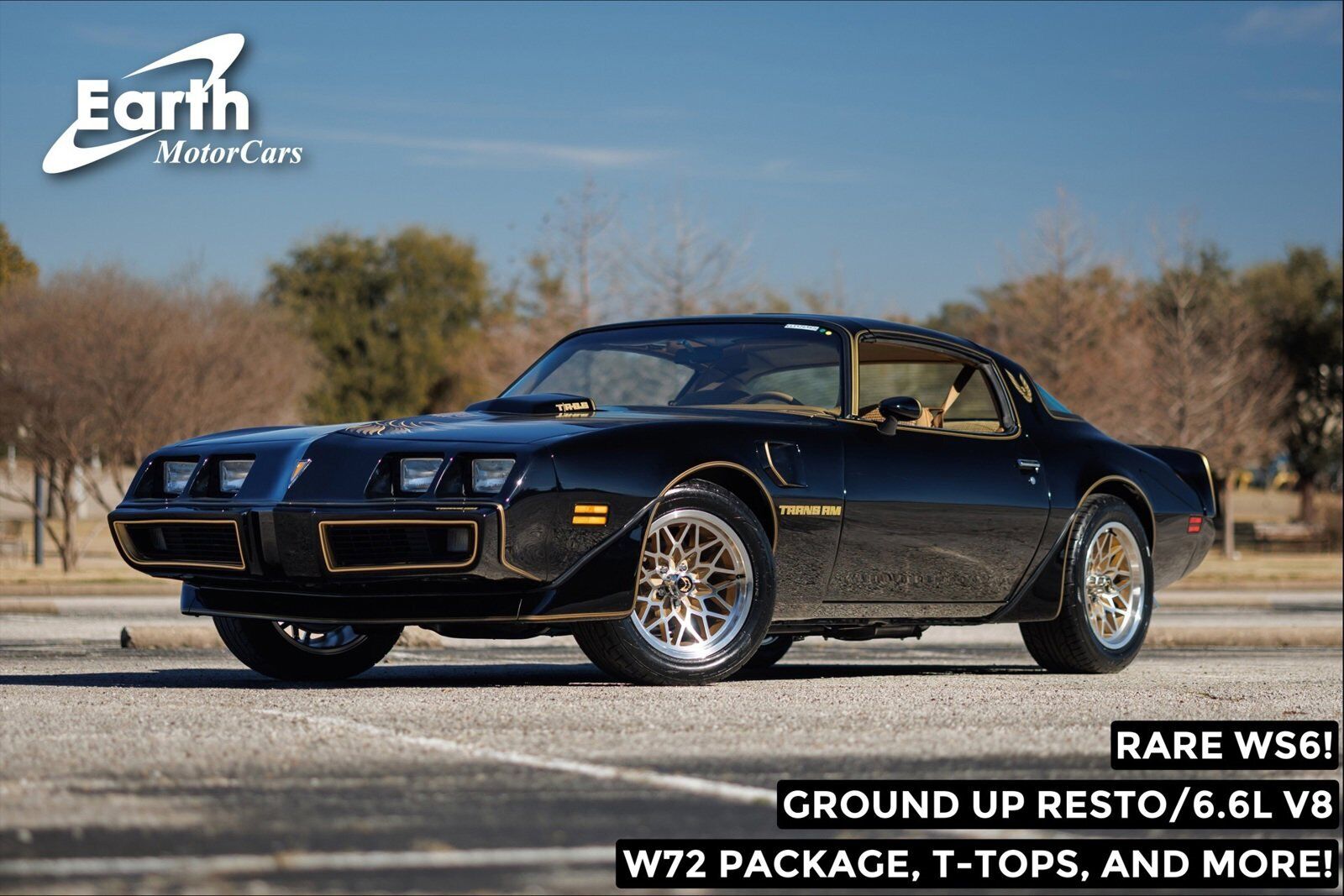 Pontiac-Firebird-1980-2D-Coupe