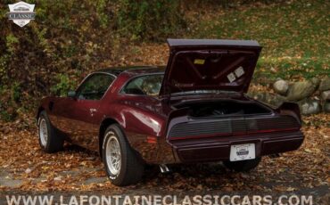 Pontiac-Firebird-1980-9