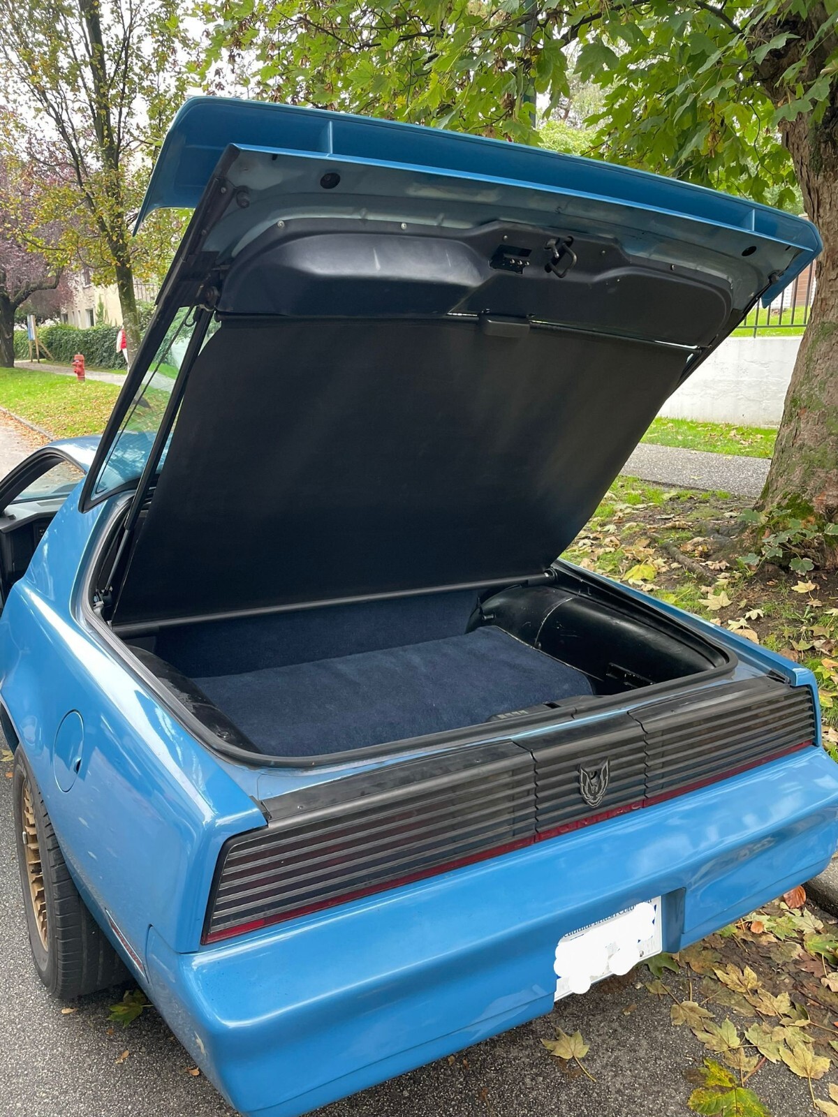 Pontiac-Firebird-1982-Coupe-2