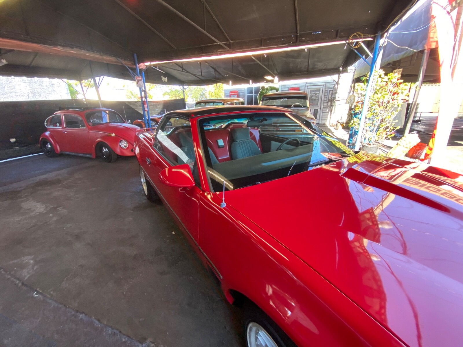 Pontiac-Firebird-1983-Coupe-16