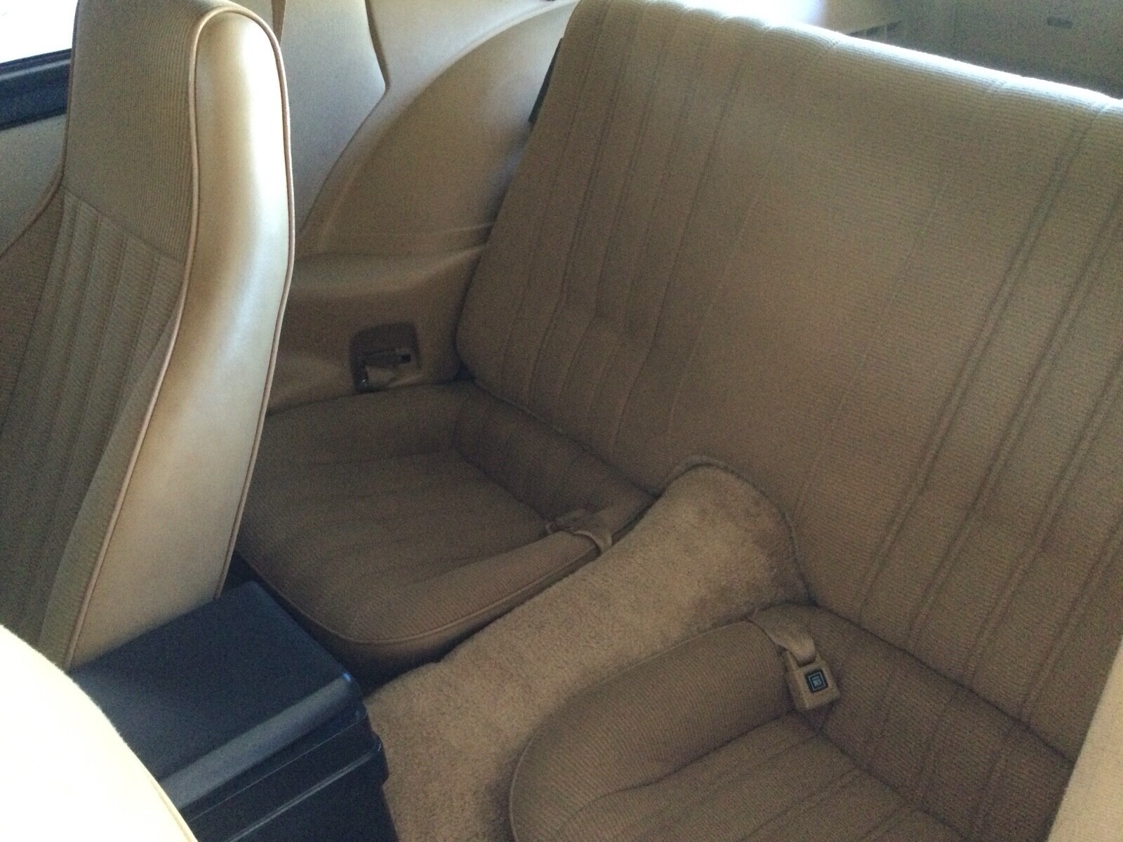 Pontiac-Firebird-1983-Coupe-6