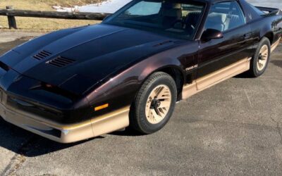 Pontiac Firebird 1986 Hatchback