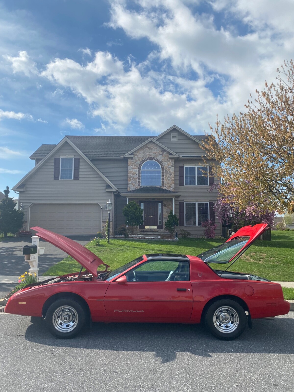 Pontiac Firebird 1991 Coupe