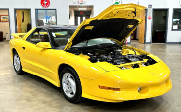 Pontiac-Firebird-1994-Hatchback-18