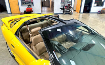 Pontiac-Firebird-1994-Hatchback-8