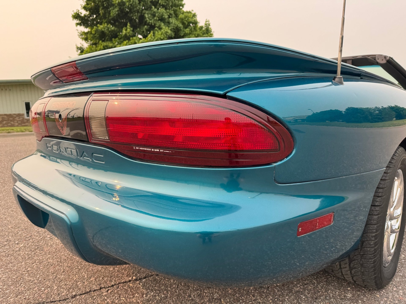 Pontiac-Firebird-Convertible-1995-Convertible-24