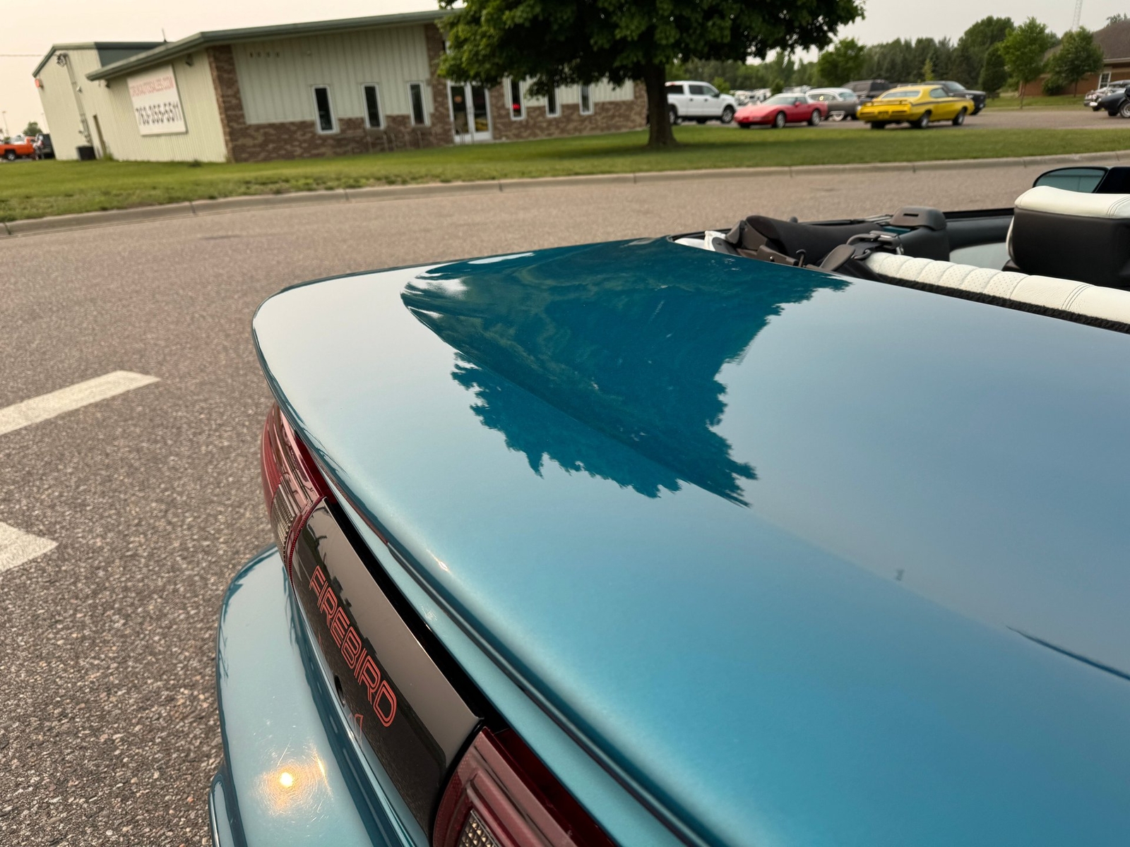 Pontiac-Firebird-Convertible-1995-Convertible-36