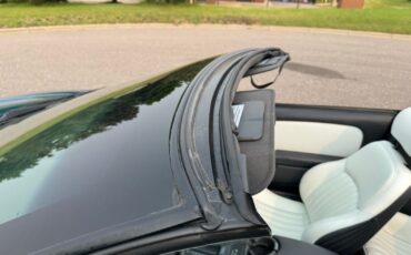 Pontiac-Firebird-Convertible-1995-Convertible-39