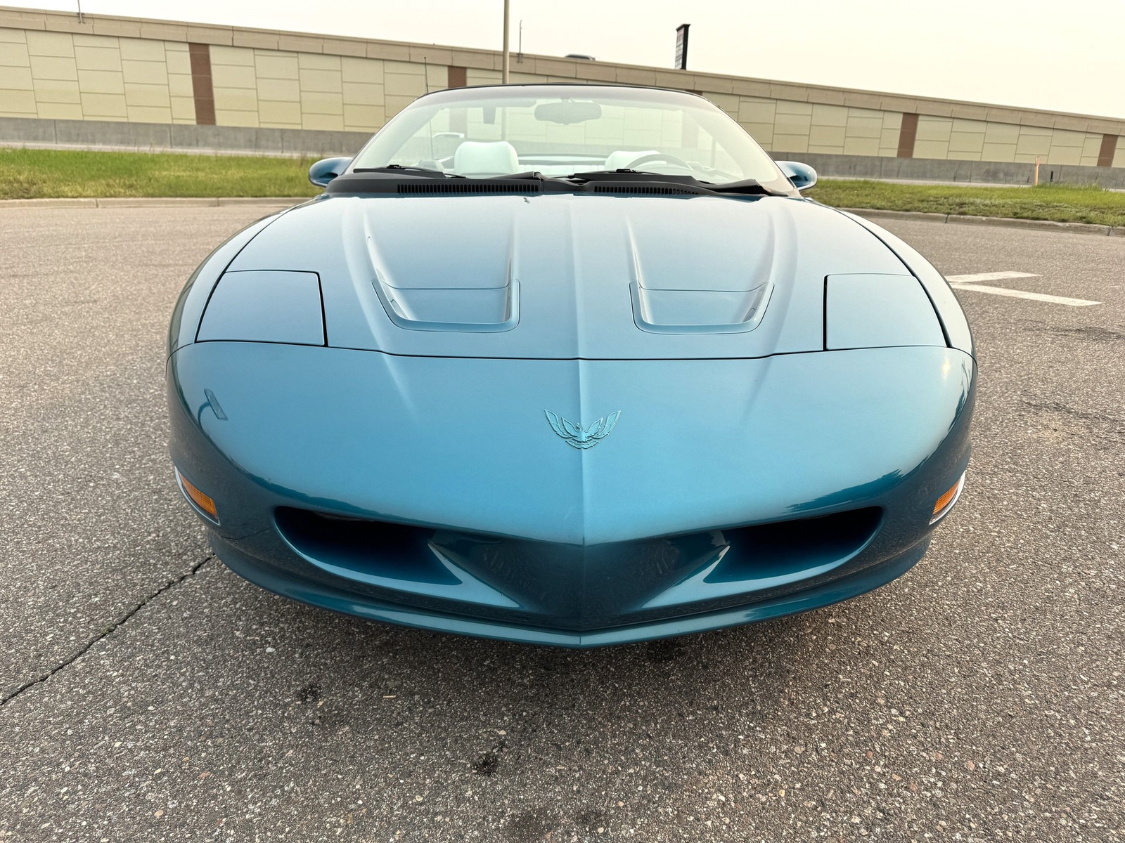 Pontiac-Firebird-Convertible-1995-Convertible-8