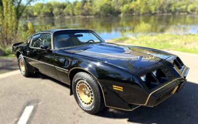 Pontiac Firebird Trans AM   Bandit 1981