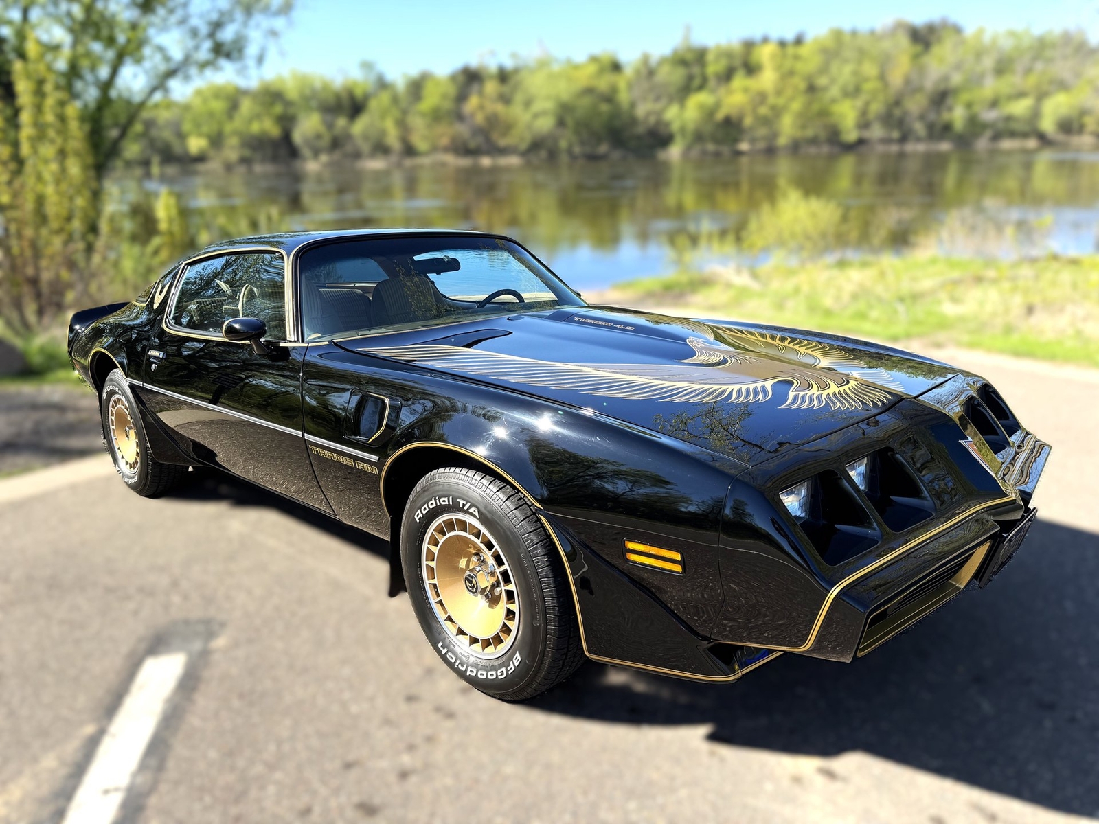 Pontiac Firebird Trans AM   Bandit 1981 Coupe