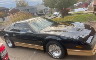 Pontiac Firebird trams am 1985