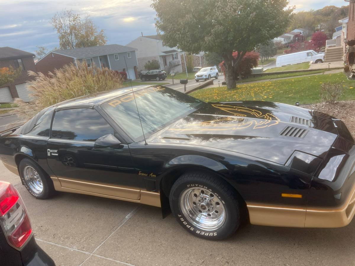 Pontiac Firebird trams am  1985 black
