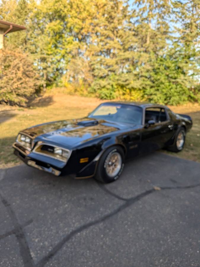 Pontiac-Firebird-trans-am-1978-black-3