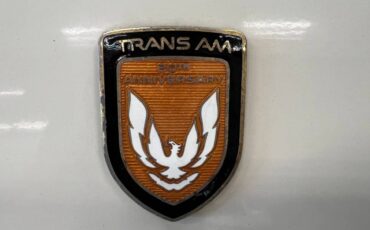 Pontiac-Firebird-trans-am-gta-1989-13