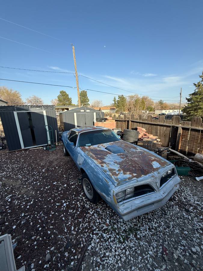 Pontiac-Firebird-transam-1978-blue-2