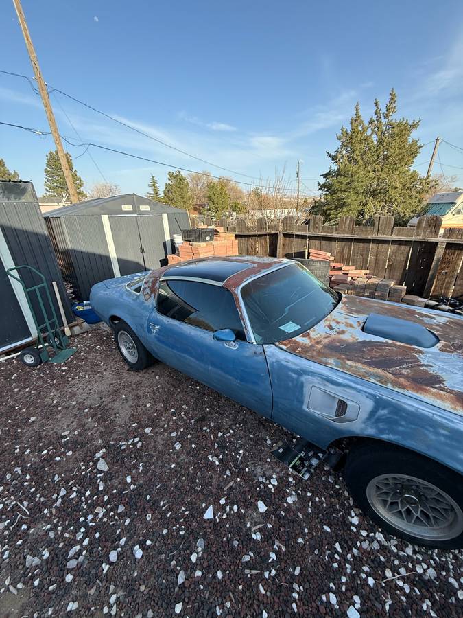 Pontiac-Firebird-transam-1978-blue-5
