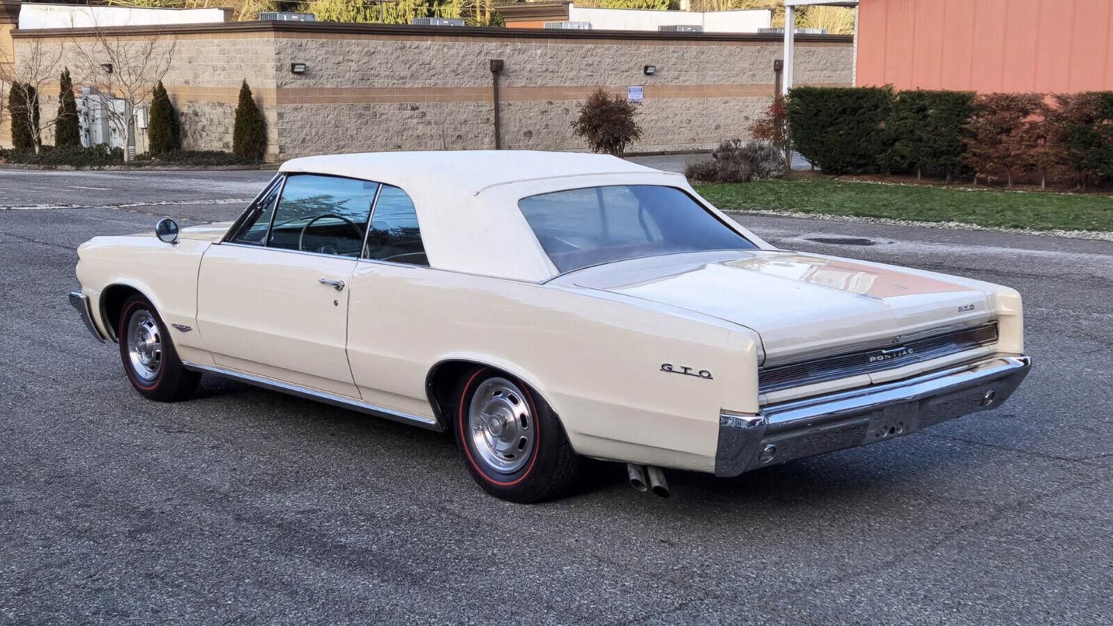 Pontiac-GTO-1964-Convertible-4