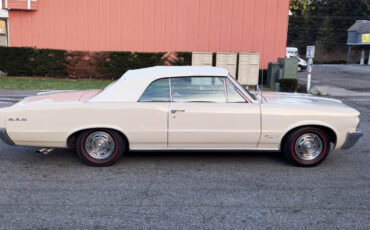 Pontiac-GTO-1964-Convertible-5