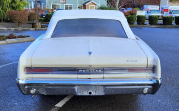 Pontiac-GTO-1964-Convertible-7