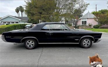 Pontiac-GTO-1965-Convertible-5