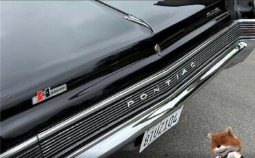 Pontiac-GTO-1965-Convertible-9