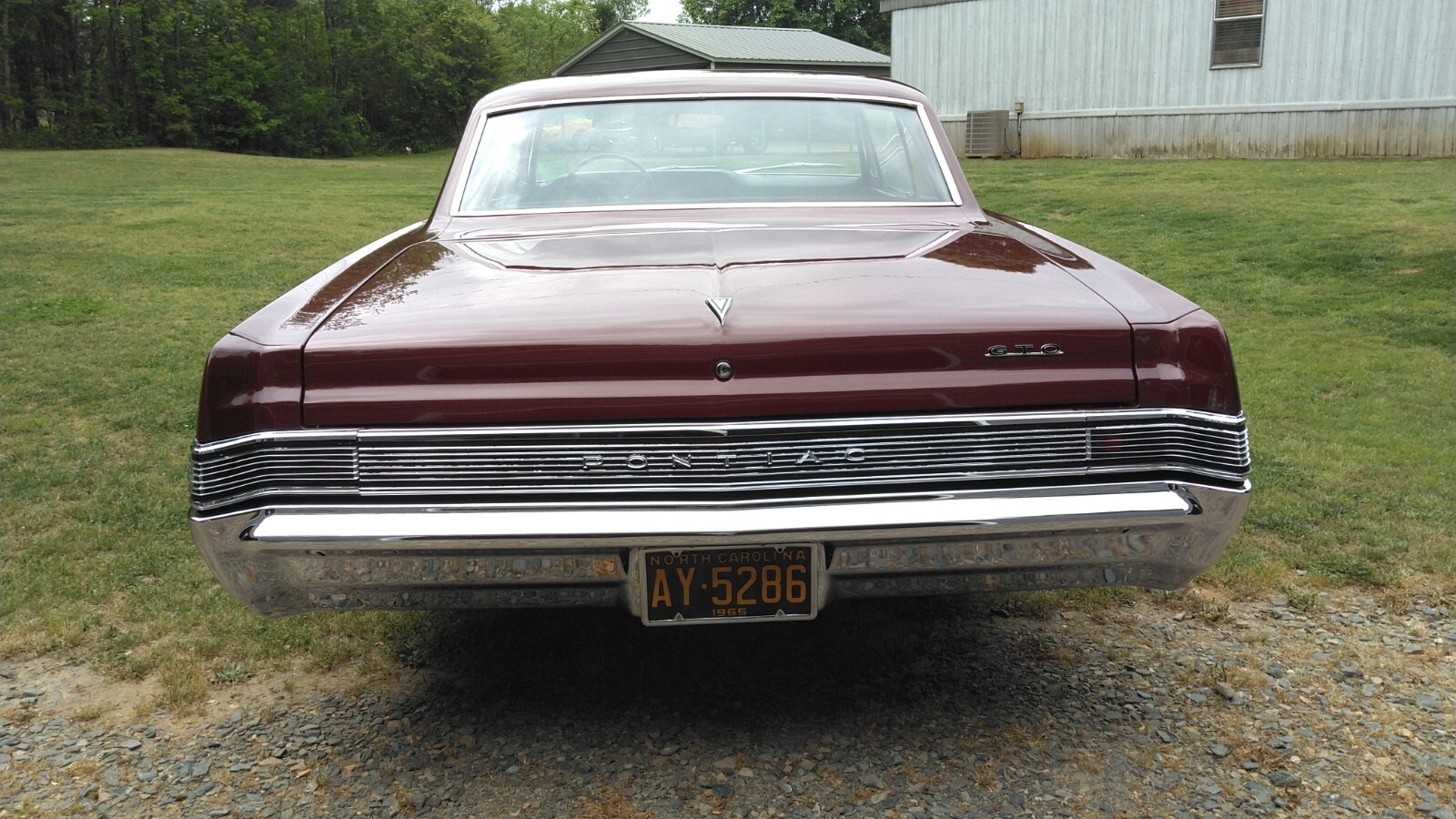 Pontiac-GTO-1965-Coupe-6