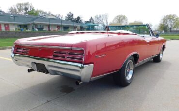 Pontiac-GTO-1967-CONVERTIBLE-19