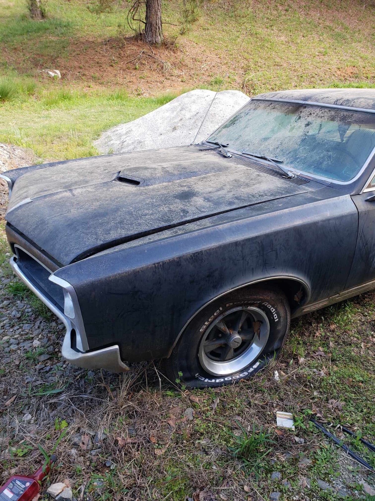 Pontiac-GTO-1967-Coupe-1