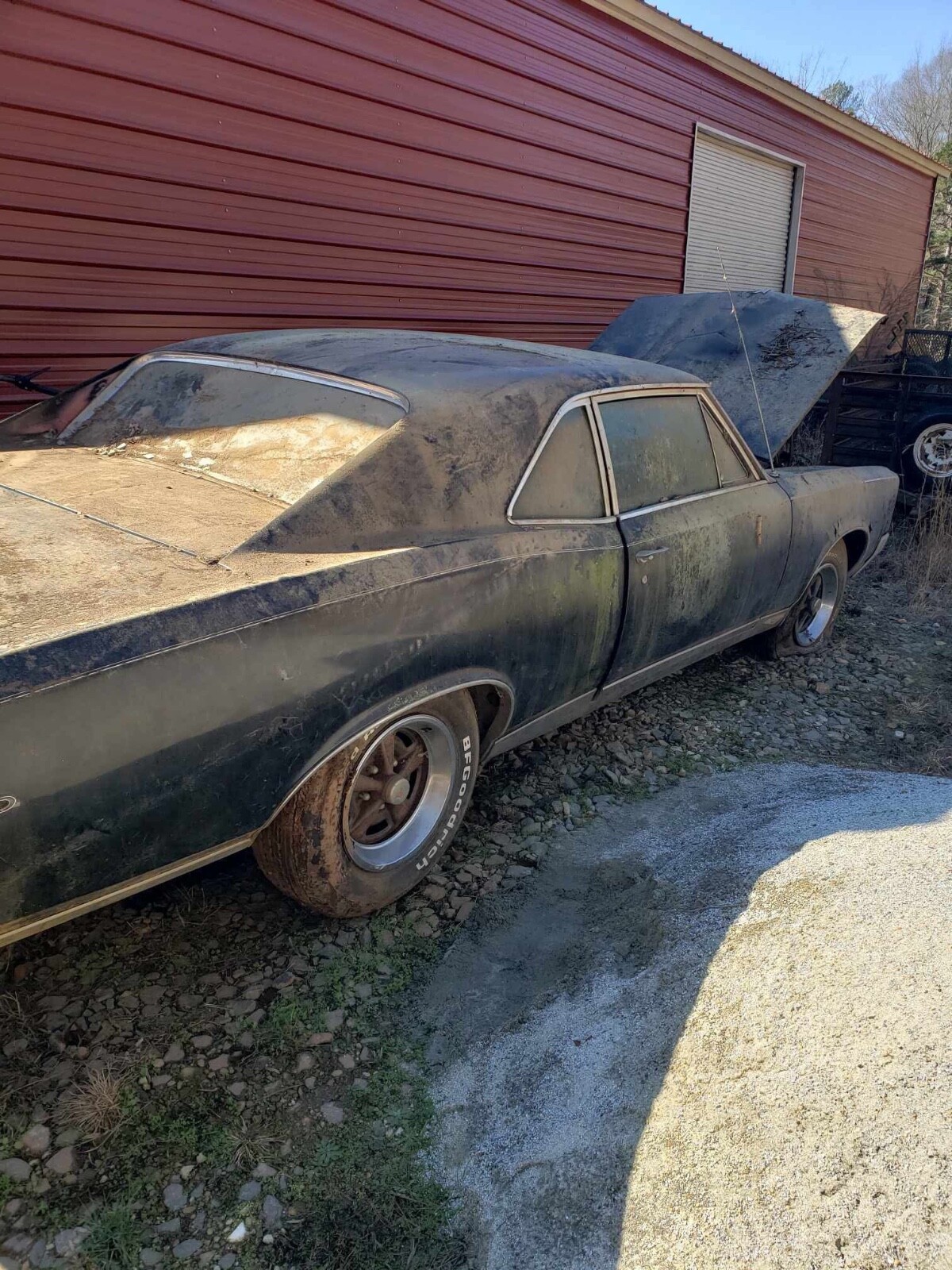 Pontiac-GTO-1967-Coupe-5