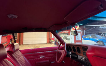 Pontiac-GTO-1970-American-Muscle-Car-31