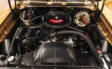 Pontiac-GTO-1970-Coupe-12
