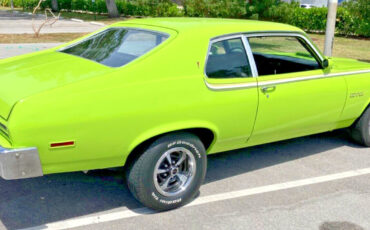 Pontiac-GTO-1974-Coupe-13