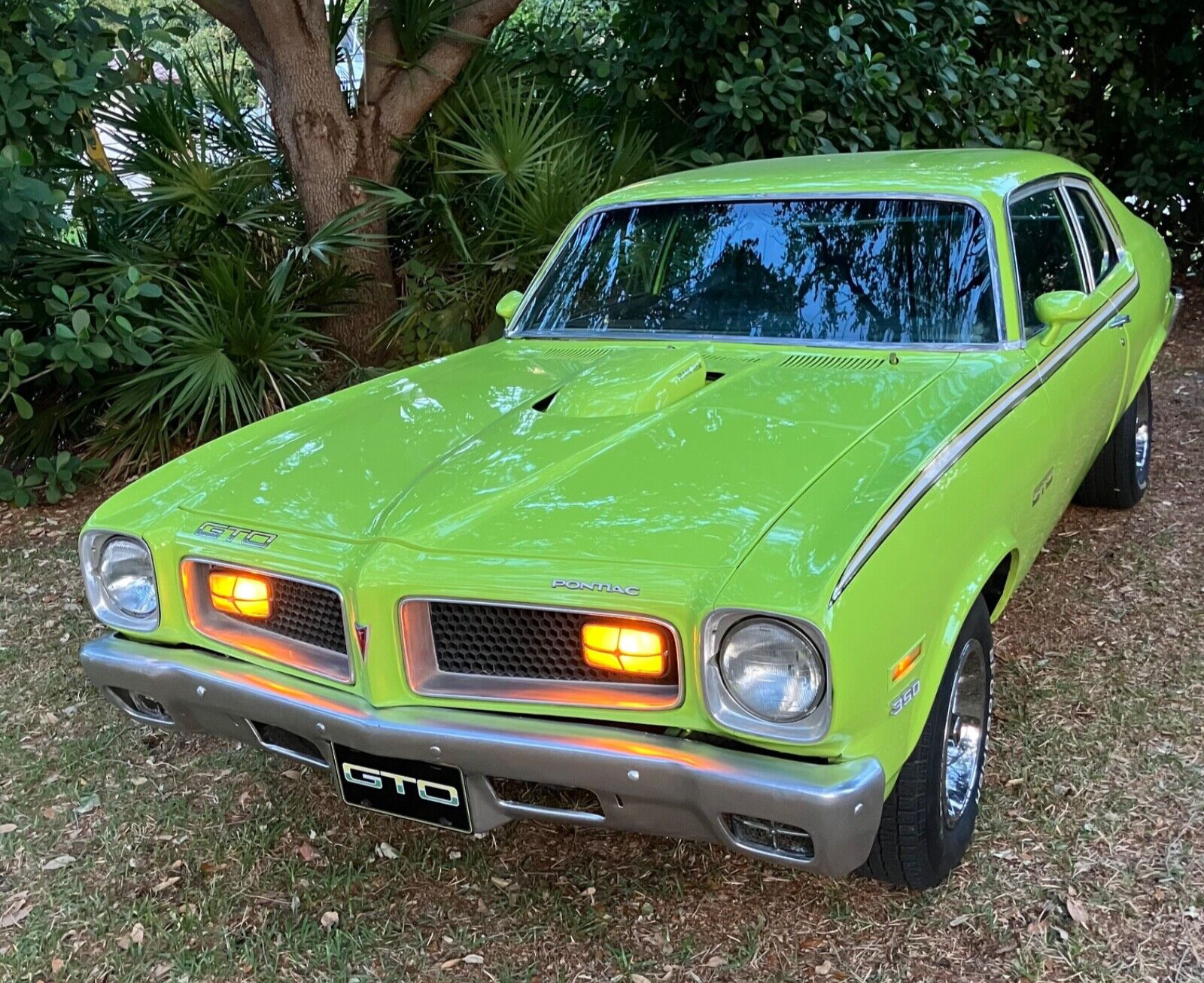 Pontiac-GTO-1974-Coupe-2