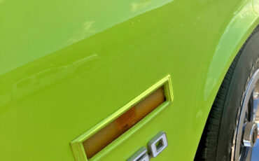 Pontiac-GTO-1974-Coupe-32