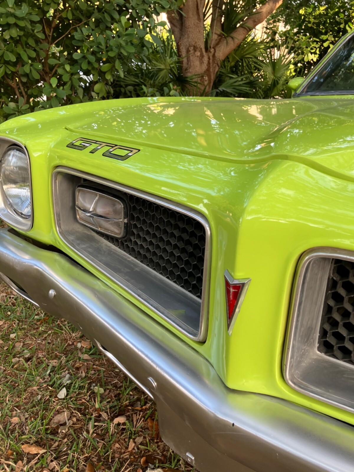 Pontiac-GTO-1974-Coupe-5