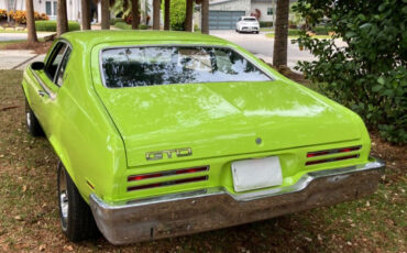 Pontiac-GTO-1974-Coupe-6