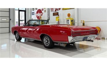 Pontiac-GTO-Convertible-1966-5