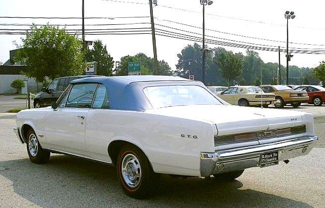 Pontiac-GTO-Documented-1964-Convertible-20