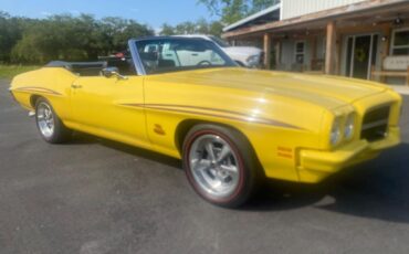 Pontiac-GTO-JUDGE-Covertible-clone-1972-16
